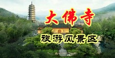 你的骚逼真紧,鸡巴进去好爽视频中国浙江-新昌大佛寺旅游风景区